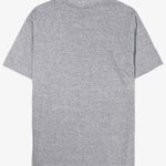 Camiseta-Future-Flag-Mescla-Costas