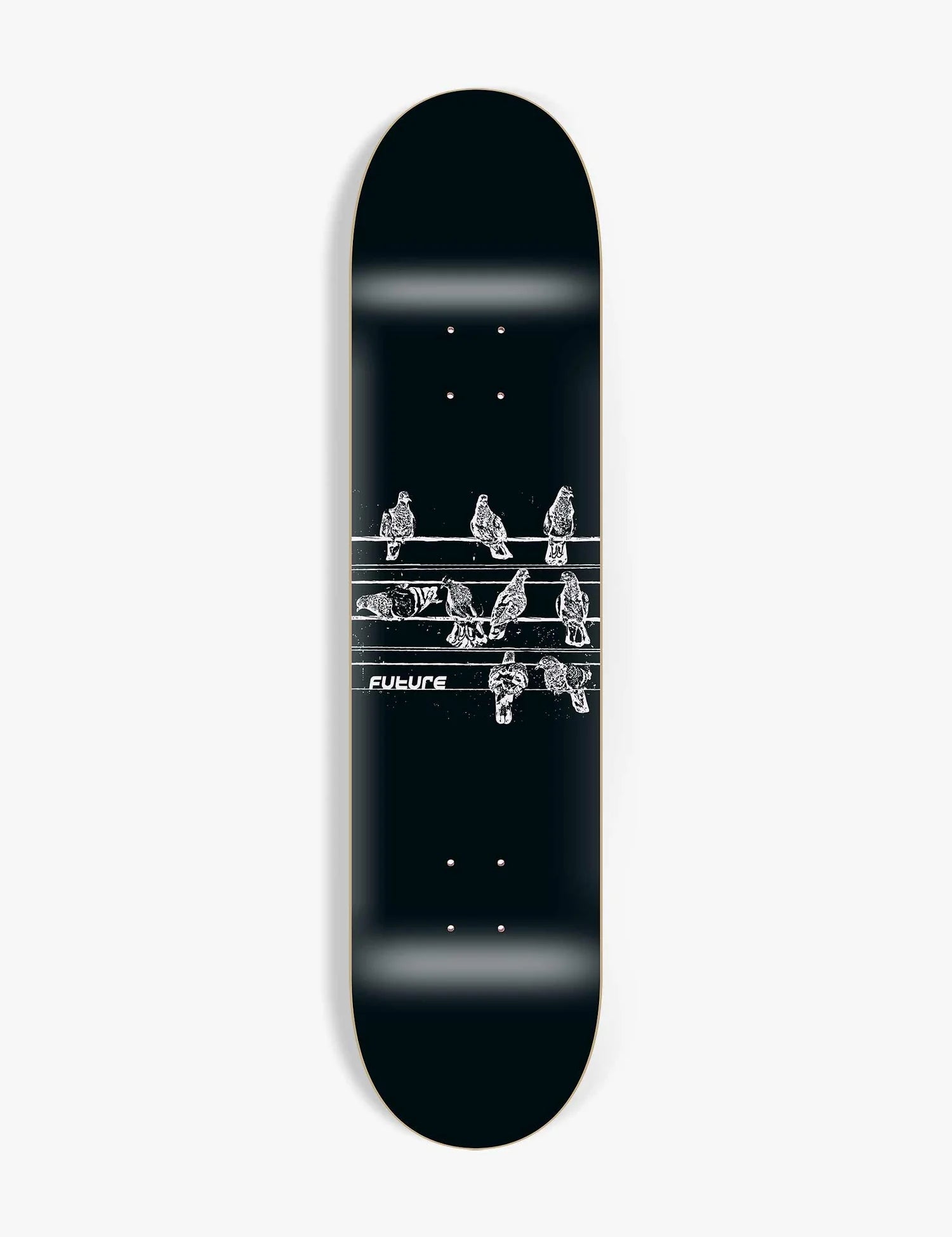 shape maple future pigeons 8.25