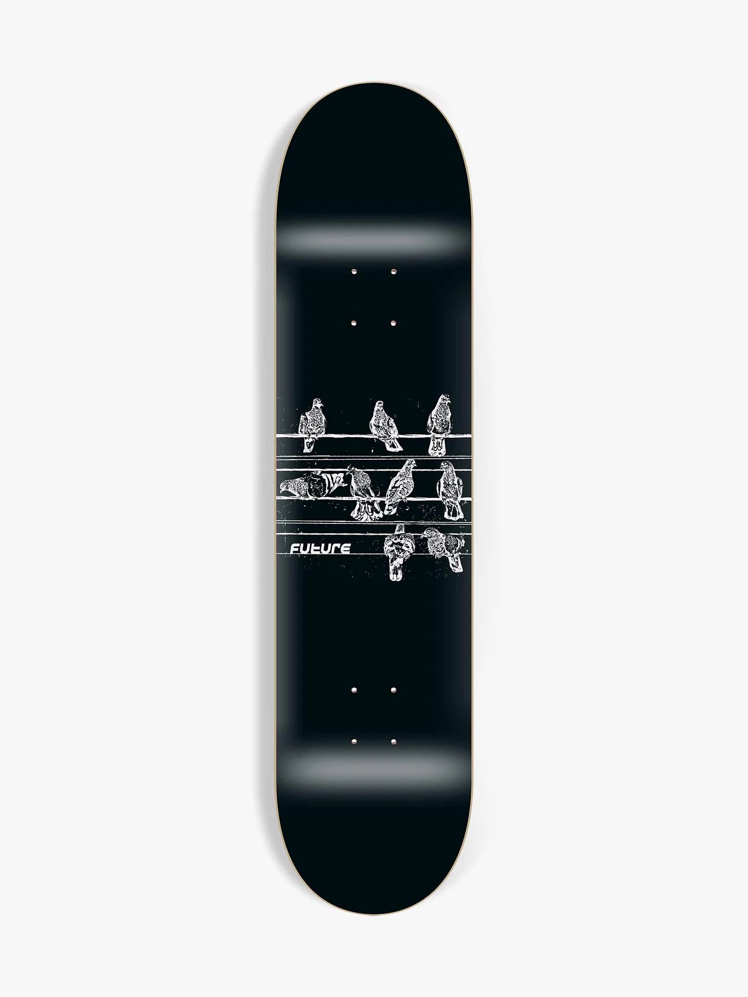 shape maple future pigeons 8.25