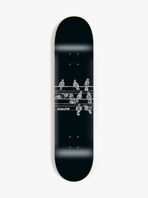 shape maple future pigeons 8.25