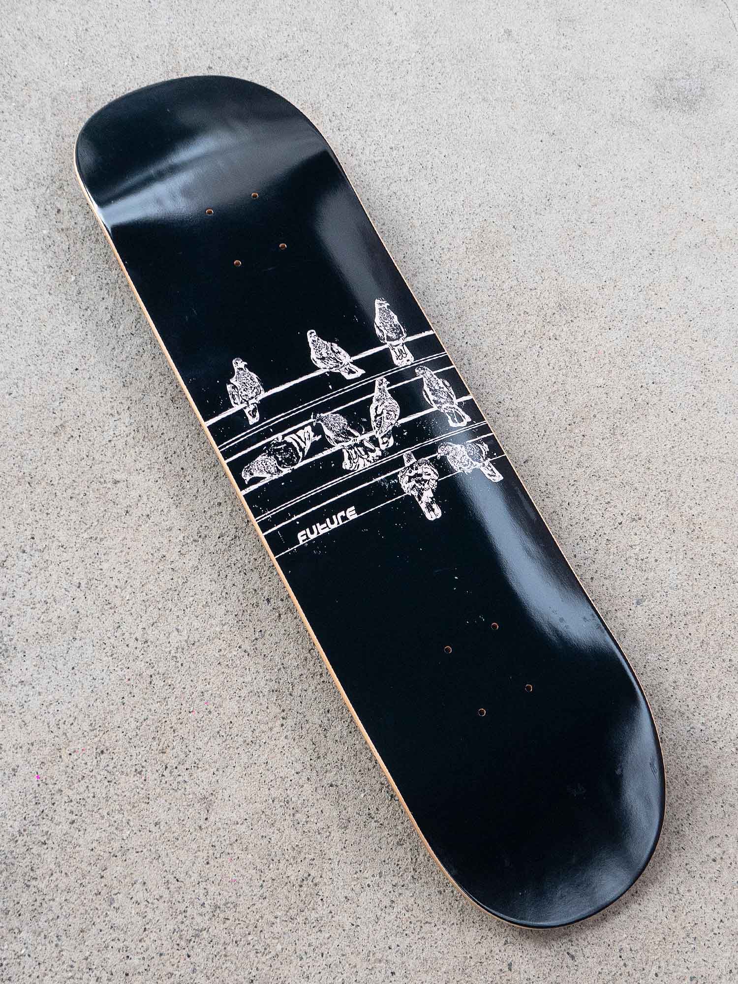 shape-maple-future-pigeons-8.25-ambiente