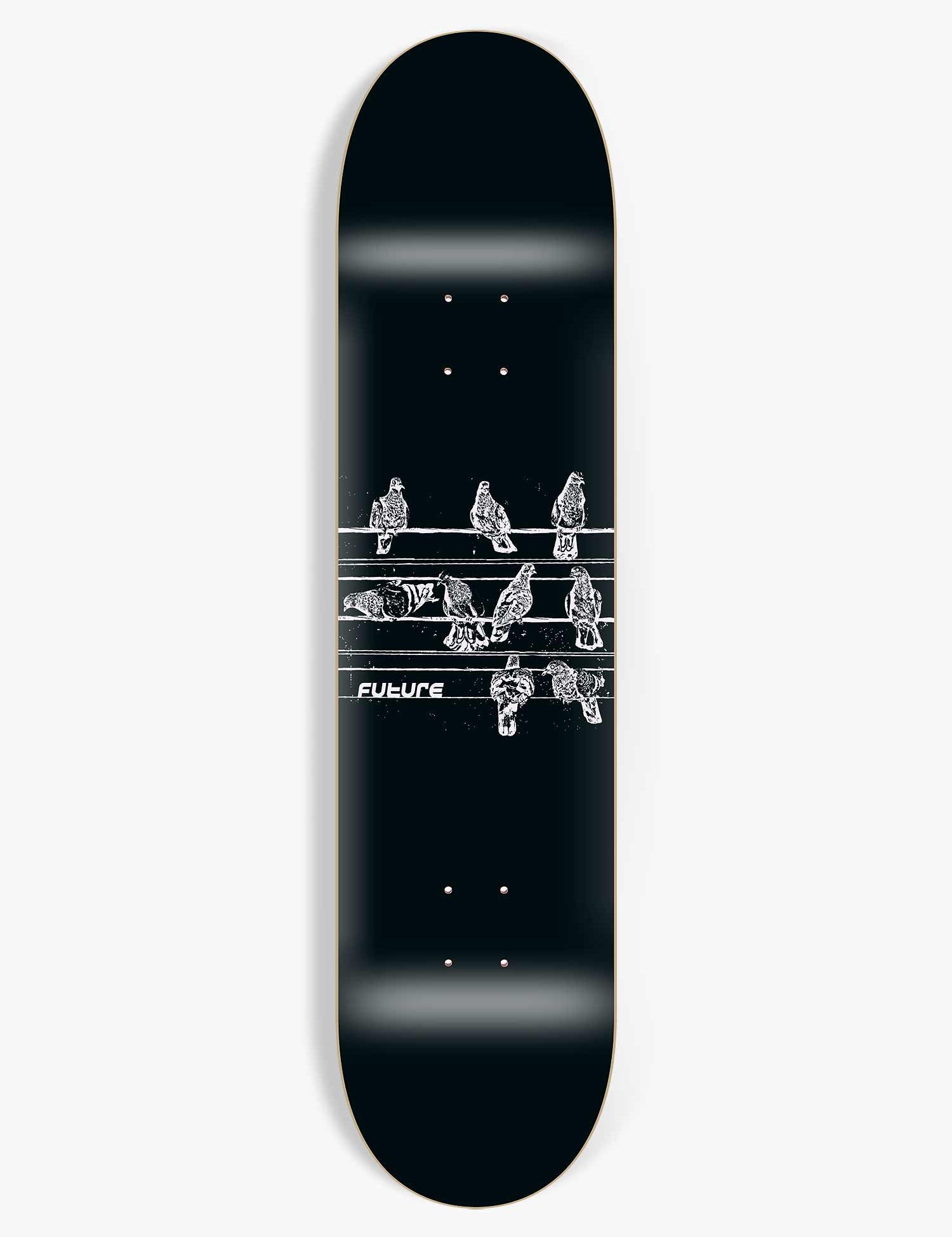 shape-maple-future-pigeons-8.25