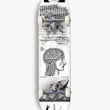 Skate Montado Future Maple Master Plan 8.0"