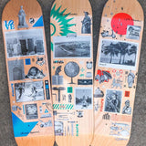 Shape Maple Future Essentials Serie 8.0" 8.1" e 8.25"