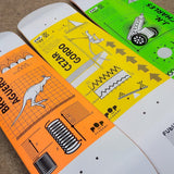 Shape Maple Pop Academy Gordo 8.1" - Future Skateboards